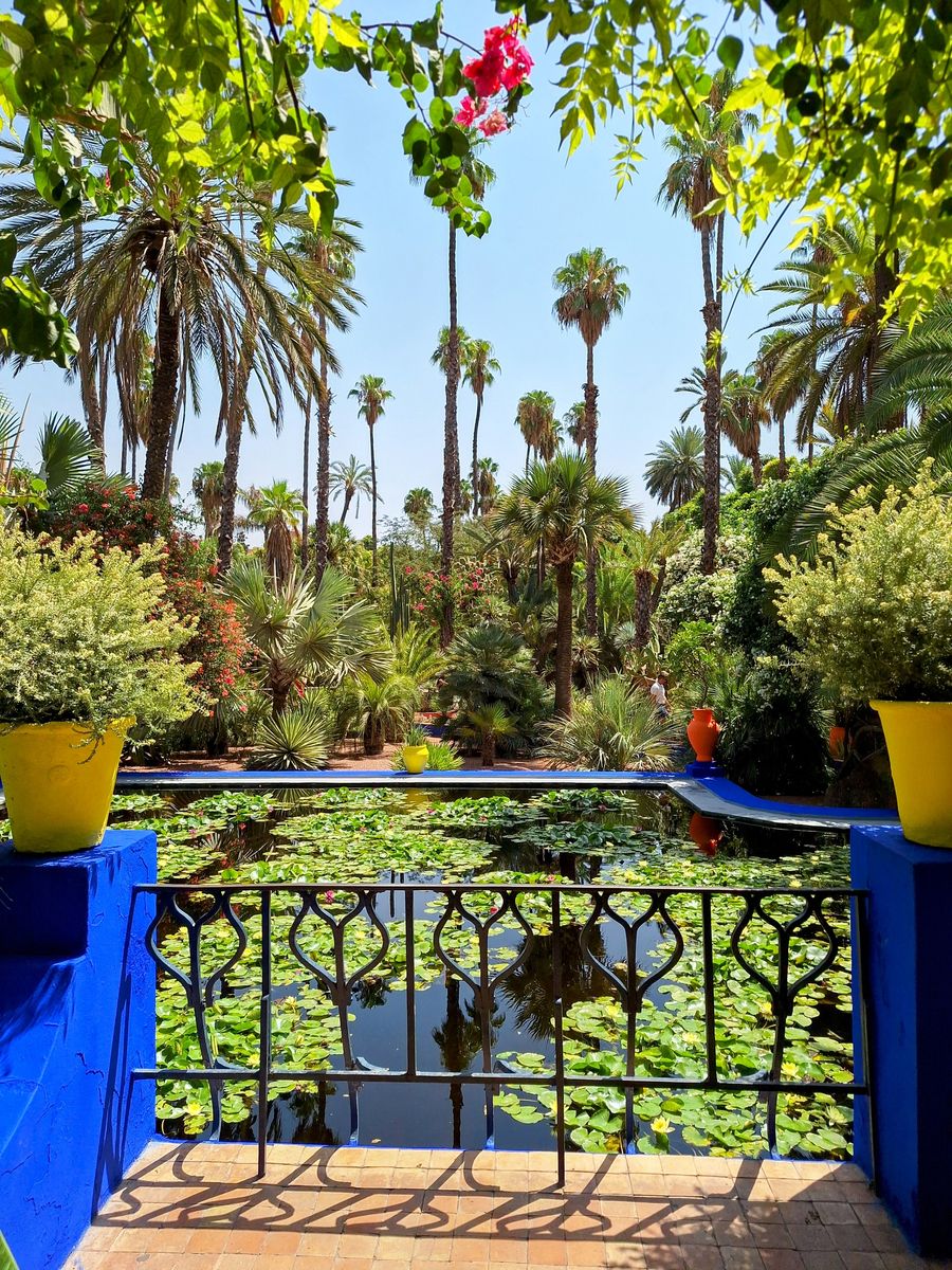 Pond and cobalt walls at Jardin Majorelle